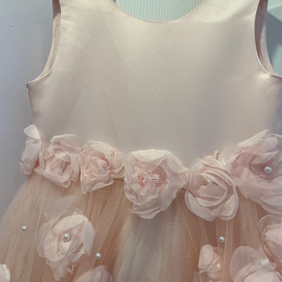 Princess Daliana Girls Size 6 Pink Rose Bud Dress - Picture 3 of 7